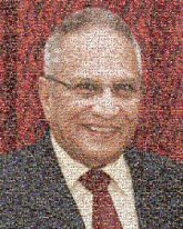 Elizabeth Taylor Elizabeth Taylor The Little Foxes Stock photography Colbert Super PAC Official Forehead Businessperson Elder Comb over