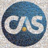 Logo Casualty Actuarial Society Actuary Logo Font Symbol Electric blue Graphics Clip art Trademark Circle Icon