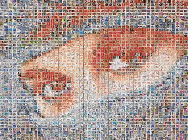 Eye photo mosaic