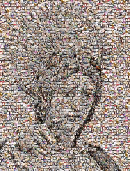 Human photo mosaic