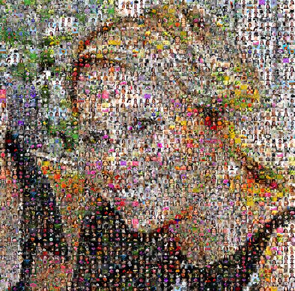 Layered hair photo mosaic