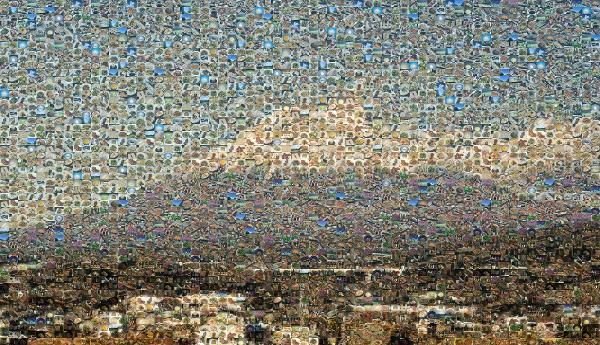 Fuji photo mosaic