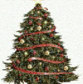 Christmas decoration Christmas tree Christmas Day Clip art Christmas decoration Portable Network Graphics Candy cane Christmas ornament Christmas lights Merry Christmas Frame Santa Claus Event Green Leaf Red Winter Holiday ornament Woody plant