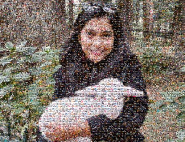 Sheep photo mosaic