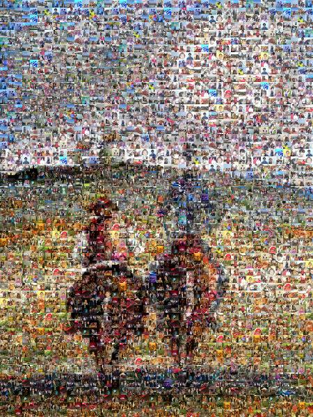 Don Quixote photo mosaic