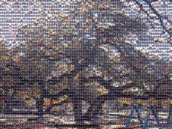 Wood photo mosaic