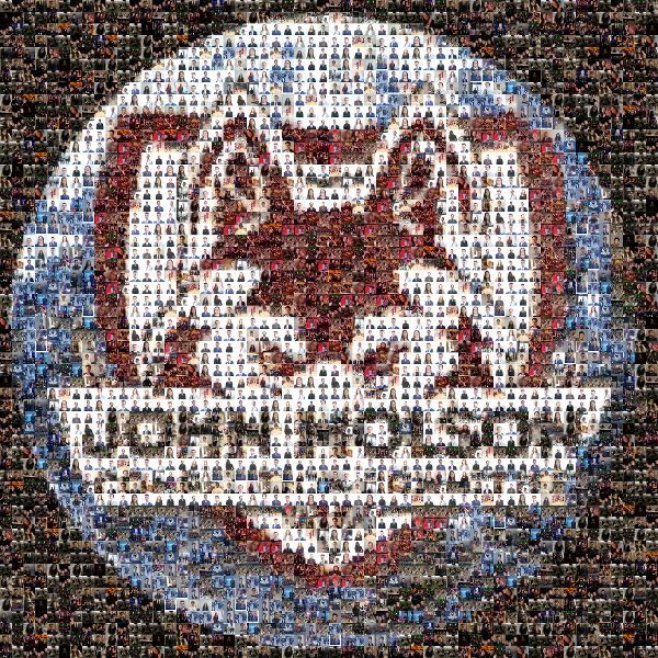 John Molson School of Business photo mosaic