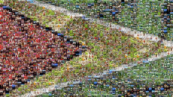 Guyana photo mosaic