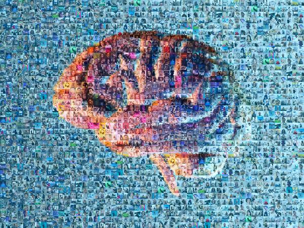 Human brain photo mosaic