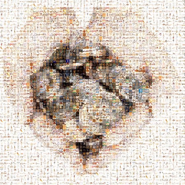 Coin photo mosaic