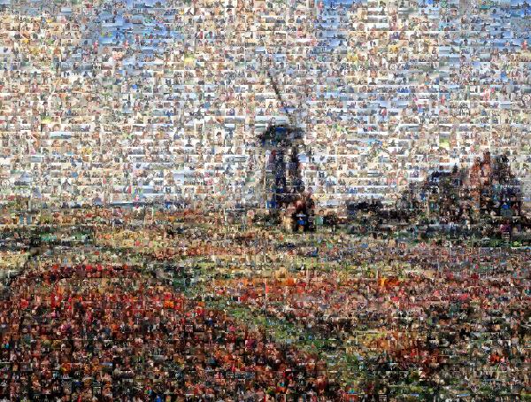 Fields of Tulip With The Rijnsburg Windmill photo mosaic