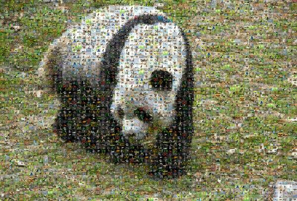 Panda photo mosaic