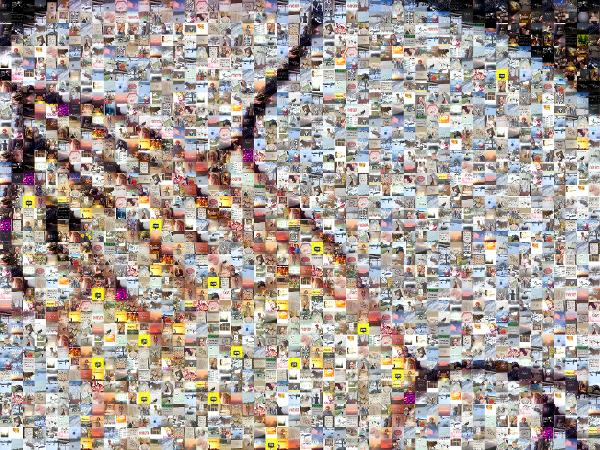 Organism photo mosaic