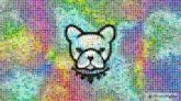 Snout Mammal Snout Canidae Art Font Magenta Circle Symmetry Electric blue Pattern Graphics Visual arts