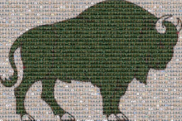 Mammal photo mosaic