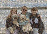 Dog Dog Dog breed Canidae Companion dog Mammal Smile Water Sky Cloud Vertebrate Carnivore Lake