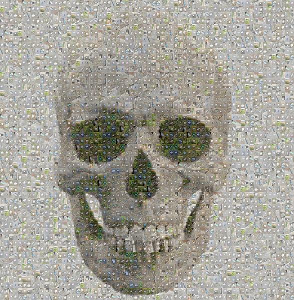 Skull photo mosaic