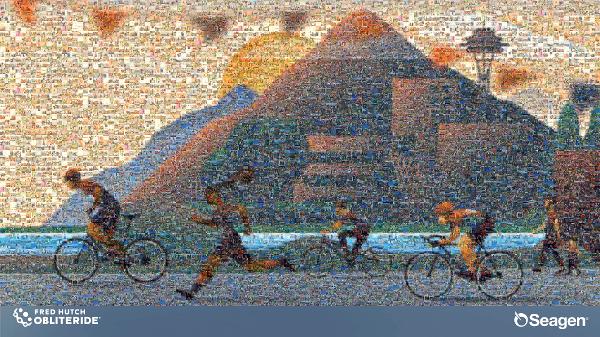 Bicycle photo mosaic