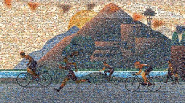 Bicycle wheel photo mosaic