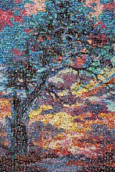 Paint photo mosaic