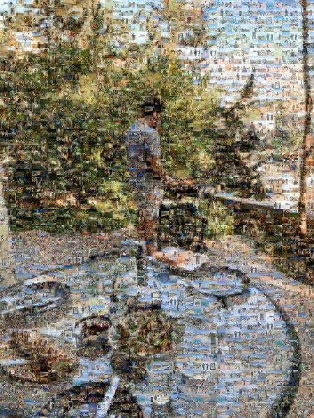 Garden photo mosaic