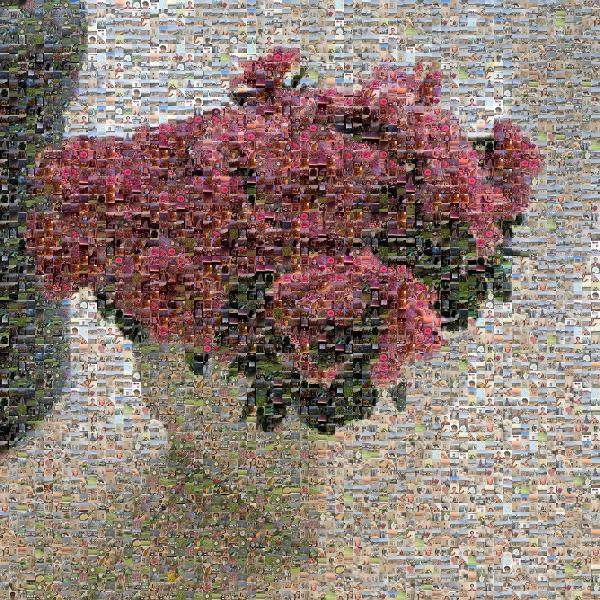 Floral design photo mosaic