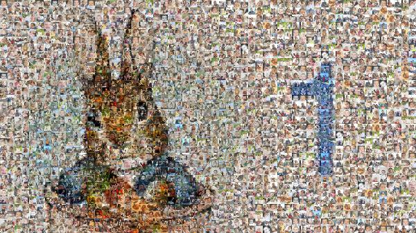 The Tale of Peter Rabbit photo mosaic