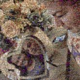 Julia Child Julia Child Garden roses Floribunda Hybrid tea rose Julia Child rose Hybrid Smile Happiness Facial expression Floral design Flower Arranging Floristry Love Picture frame Rose family Cut flowers
