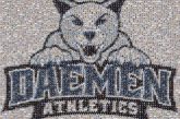 Daemen University Daemen University Daemen University Wildcats women