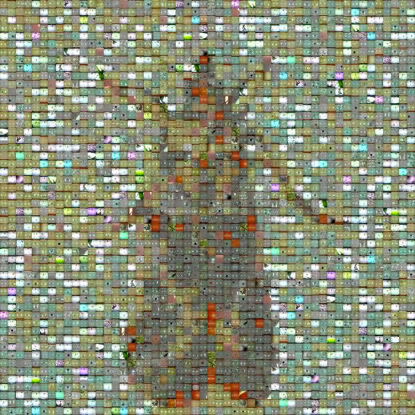 Butterflies photo mosaic