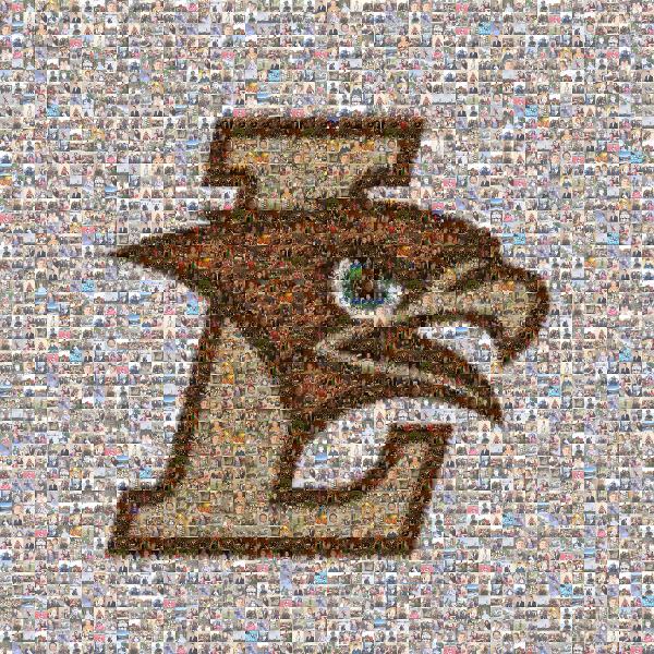 Lehigh Mountain Hawks football photo mosaic