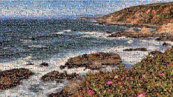 Bodega Head photo mosaic