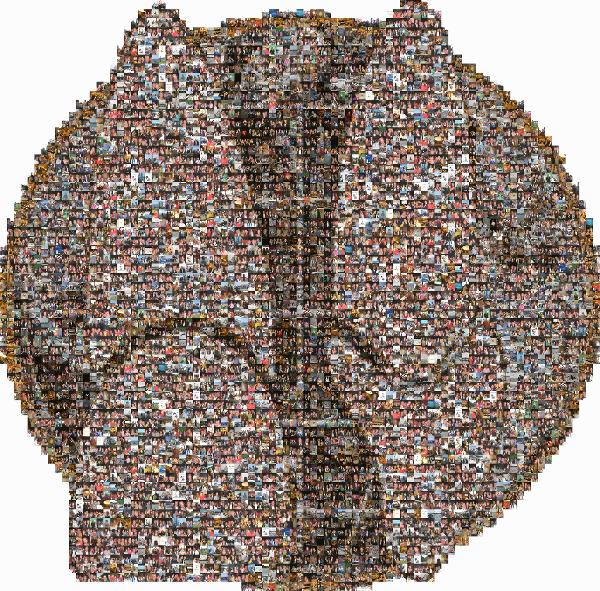 Circle photo mosaic
