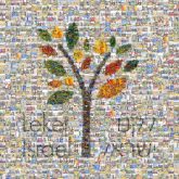 Leket Israel Leket Israel Israel Nonprofit organization Food rescue Food bank Donation Charitable organization Organization Volunteering