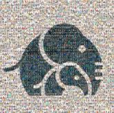 Mental health Mental health Health Therapy Health care Clinic Ellie Mental Health Medicine Therapist Ellie Mental Health Ellie Mental Health Terrestrial animal Logo Elephant Symbol Graphics Emblem Clip art African elephant