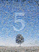 Number Number House numbering House Field Agriculture