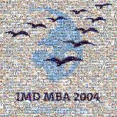 Common bottlenose dolphin Common bottlenose dolphin Spinner dolphin Art Illustration LaunchBox Games Database Image Clip art Dolphin Poster Font Logo Graphics Graphic design