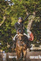 Eventing Eventing Dressage Show jumping Equitation Horse Bridle English riding Individual sport Animal sports Equestrian helmet Horse tack Halter equestrian sport Recreation