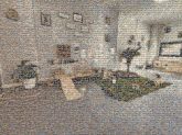 Floor Interior design Design Room Flooring Shelving Flowerpot Houseplant Shelf Recreation room Carpet