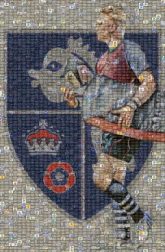 Havant RFC Havant RFC Old Albanian RFC Havant Rugby Football Club Rugby union Rugby football Club crest Rugby Football Union Western Force Hampshire Rugby Football Union Pitchero Jersey Sports Uniform Player Sportswear Sports Fan Jersey Logo Football player Sock