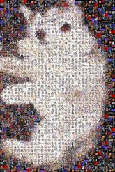 Alaskan Malamute Alaskan Malamute Canadian Inuit Dog Miniature Siberian Husky Sakhalin Husky Siberian Husky Samoyed Mackenzie River husky East Siberian Laika Seppala siberian sleddog Labrador Husky Carnivores Puppy Fur Snout Toy Stuffed toy Plush Canidae Paw