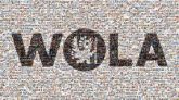 Latin America Latin America Washington Office on Latin America Washington Office On Latin America Human rights Non-governmental organization Organization Justice Logo