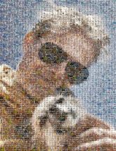 Havanese Havanese Tibetan spaniel Shih Tzu Chihuahua Three-toed sloth Sapsali Morkie Mi-Ki Two-toed sloths Sloths Eyewear Dog Glasses Vision Care Nose Sunglasses Happiness Goggles Personal protective equipment Smile