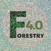 Forest Forest Forestry Forestry 4.0 Forest ecology Afforestation Forest protection Logging Font Graphic design Graphics Science