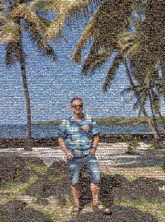 Babassu Babassu Royal palms Eyewear Glasses Summer Smile Vacation Sunglasses Leisure Happiness Fun Holiday