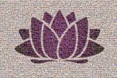 Graphic design NSW Telco Authority Government of New South Wales Logo Data.NSW Graphic design Create NSW NSW Department of Planning & Environment Pink Graphics Symbol Clip art Lotus Emblem Nelumbonaceae