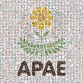 Associacao De Pais E Amigos Dos Excepcionais-APAE Associacao De Pais E Amigos Dos Excepcionais-APAE APAE Brusque Disability Association Feapaes SP Font Logo Symbol Label Sign Graphics Graphic design