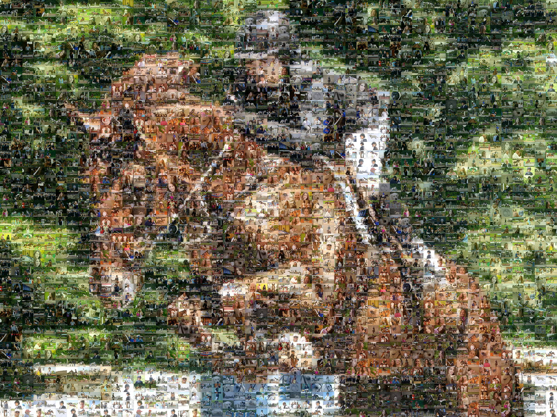 photo mosaic created using 427 family photos