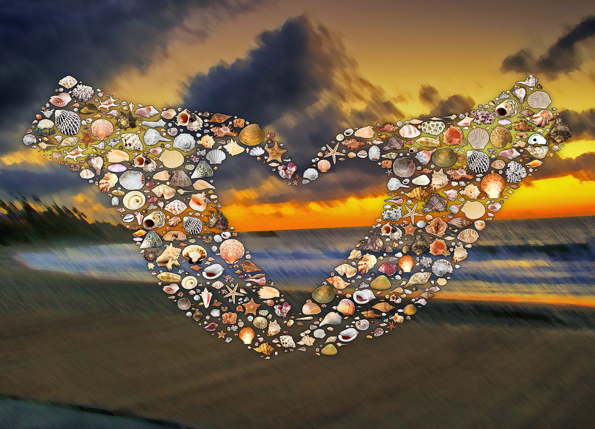 photo mosaic created using 160 specially designed seashell images