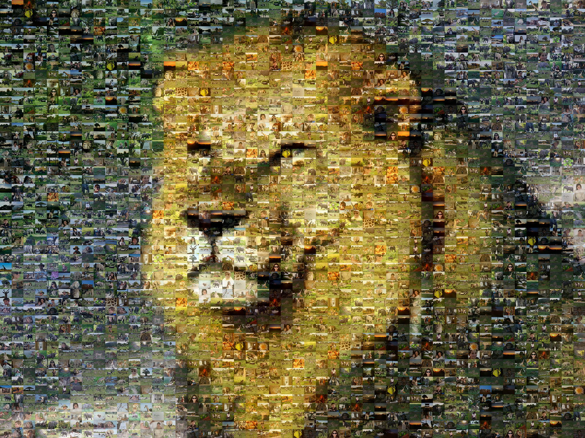 photo mosaic created using 705 photos of a family vacation